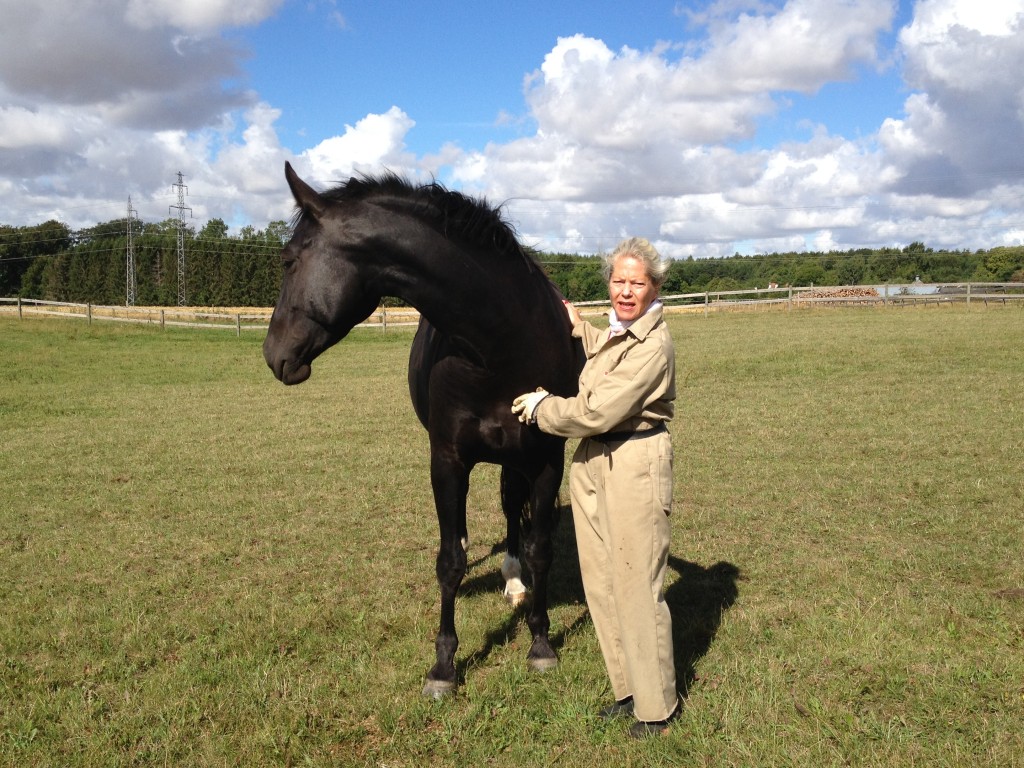 9. September 2013 Zobel overvejer lige om hun skal følge med flokken eller blive og kæle. Hun blev !!